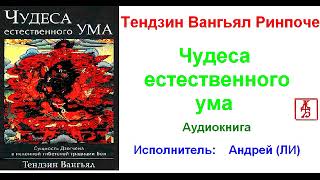 Тендзин Вагьял Ринпоче.   Чудеса естественного ума (Аудиокнига)