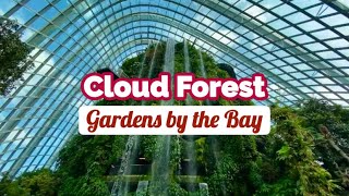 Must visit when in Singapore | Gardens by the Bay