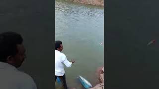 Rohu Fishing by Khaja bhai & Team @ Kurnool