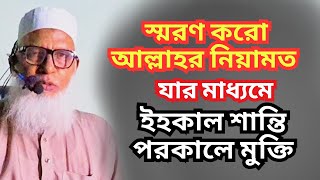 স্মরণ করো আল্লাহর নিয়ামত যার মাধ্যমে  ইহকাল শান্তি পরকালে মুক্তি || মাওলানা মোজাম্মেল হক