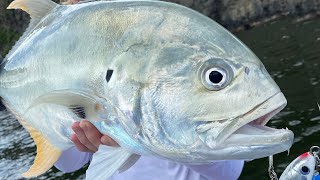 Morning Tide in Trinidad for Tarpon and Jacks