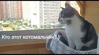 ❤️‍🔥Мы думали, решились и сделали 🙂💪🙏 Роккитос Пушистый Хвост🐱#вместемысила