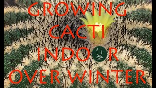 Enjoying Growing Cacti Indoor in Winter | Vlad Andrenkov【TCSC Monthly Meeting】20201117