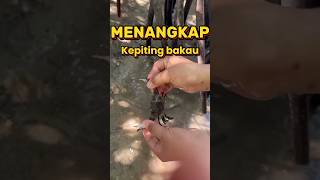 Ternyata😱😱 BEGINI MENANGKAP KEPTING 🦀🦀,