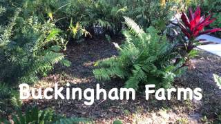 Buckingham Farms Tour