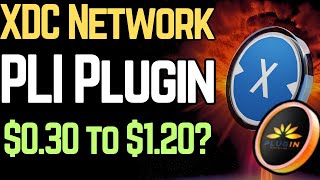 PLI Plugin: XDC Network's Data Driver (100x HIDDEN GEM?)