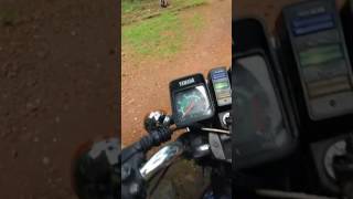 Yamaha 135 5 speed morning walk