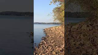 Quick view of Submerge Bridge@ Energy Lake, KY #shorts #kylake #shortsfeed