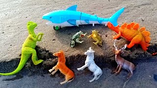 Kucing Meong Meong, Ikan Hiu  Bebek, Kodok Ngorek, Sapi Lucu, Gajah, Dinosaurus, Tirek, Rusa, Kuda