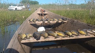 Pescaria no maior lago de água doce da América.  #pescaria #tucunare #fishing #pescaesportiva