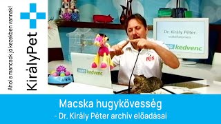 Macska hugykövesség