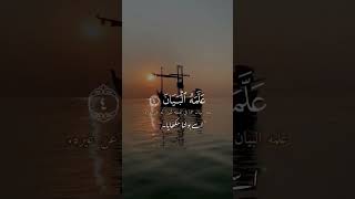 اَلرَّحْمٰن Surah ar-Rahman #القرآن_الكريم #اسلام_صبحي #quranpak #islamicvideo #shortsyoutube #reels