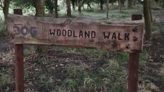 We took Fido & Lady to a secure woodland area in Peterborough - Lady off lead for the first time 🐕🐶