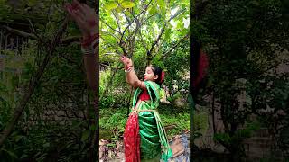 শিশিরে শিশিরে শারদ আকাশে ভোরের আগমনী 🙏#shots #youtubeshorts