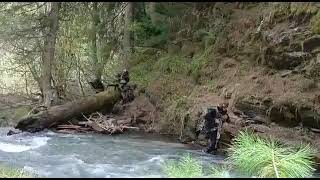 Indian Army search for terrorist #kupwara#kashmir