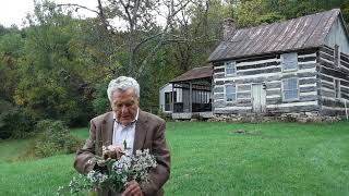 Nature Lesson - The White Heath Aster