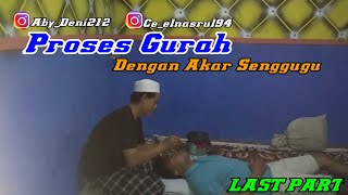 Proses Gurah Dengan Akar Senggugu