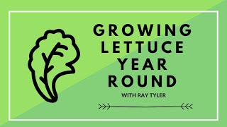 Growing Lettuce Profitably Year Round with Ray Tyler