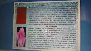 Сутеева М.А. Психологиядағы тустердің мәні. 1 курс