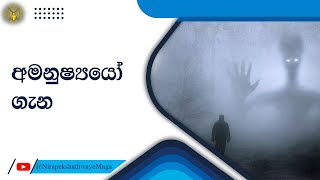 අමනුෂ්‍යයෝ ගැන