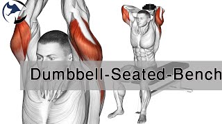 How to Dumbbell Seated Bench | Tricep Extension