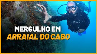 Mergulho em Arraial do Cabo | Como Foi Nosso Mergulho com Cilindro Com a Equipe da Acqua World...