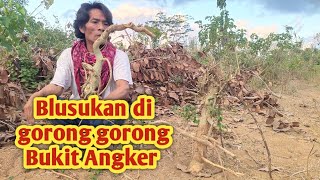 Duri Maling Menantang Perburuan Bakalan Bonsai Calon Juara