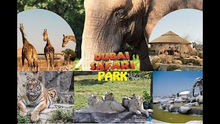 Dubai Safari Park | Must Visit With Your Kids | Fun Filled Activities For Kids #dubai #safari #zoo