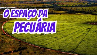 A PECUÁRIA está perdendo espaço?