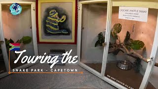 Visiting The Snake Park at V&A Waterfront, Cape Town