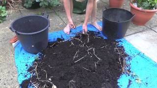 Harvesting Potatoes | Jack Shilley