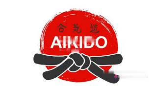 Why AIKIDO is The Best Self Defense Martial Arts.