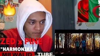 HARMONIKA - ZED x PINE [ Clip Officiel ] / REACTION VIDEO