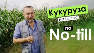 Кукуруза на силос по No-till | Алтайский край