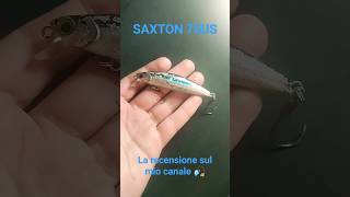 🌅🌊🌊🌊🎣 SAXTON 75US  #lightspinning #spinning #fishing #lightrockfishing