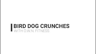 BIRD DOG CRUNCHES