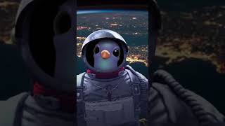 O astronauta na lua 🌒