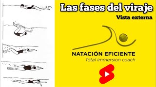 Fases del Viraje | Natación Eficiente #Shorts