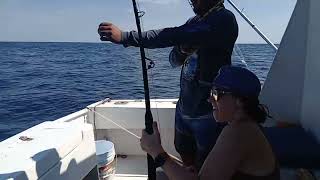 40lbs Bull Mahi Mahi caught at Ambergris Caye (Belize)