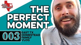 A Perfect Moment | East Texas Homestead Vlog 003 | #EastTexasHomestead