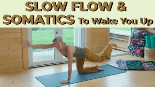 Slow Flow & Somatic Yoga To Wake You Up