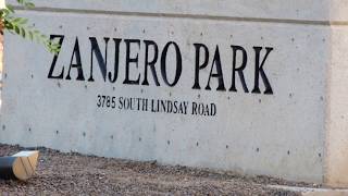 Zanjero Park Owls June 17, 2020