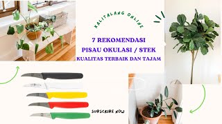 7 REKOMENDASI PISAU OKULASI / STEK KUALITAS TERBAIK DAN TAJAM