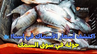 أسعار الأسماك في سوق السمك بإسنا  تحديثات جديدة! 🐟🐠