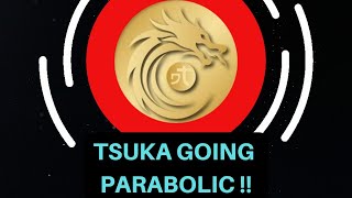 TSUKA MOONING ! | TRILLIONS COMING INTO BTC ? | USDC THE SAFEST STABLE COIN?