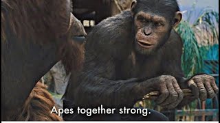 Aion Classic EU Apes Together Strong