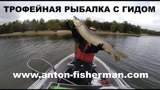 Трофейная рыбалка с Антоном Фишерманом