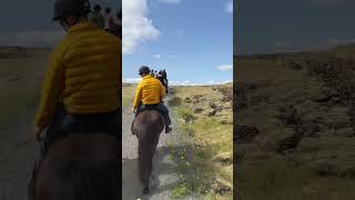 Riding Icelandic Horses through the Countryside