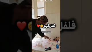 آشپزی با مقاره بریم بریم موضوع خرابش نکرده بریم بچه‌ها یاد بگیرید عه😐😂 #رهامیر #rohamir