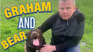 Chocolate Labrador. Channel Update.